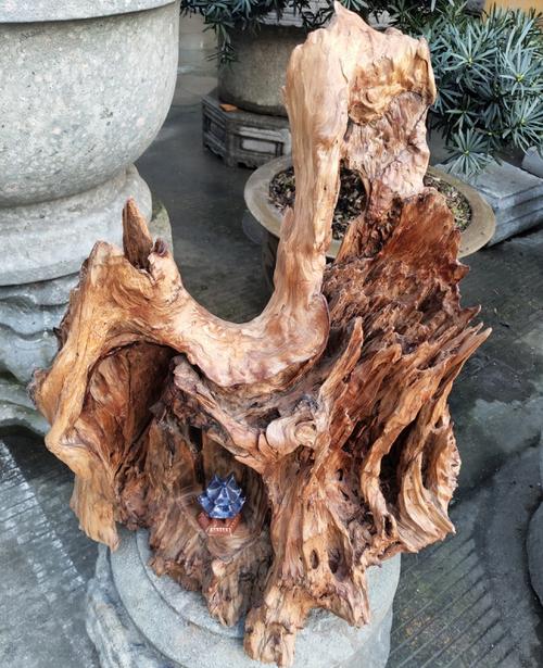 杉树根雕原料
