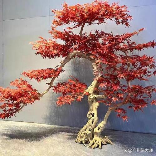 红枫树根雕