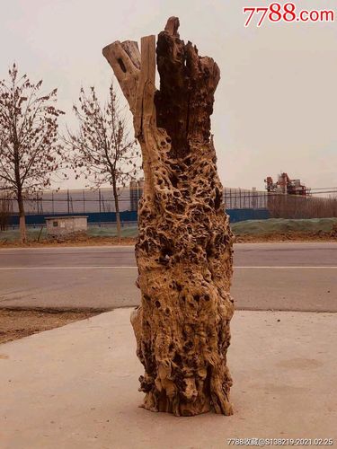 软枣树根做根雕