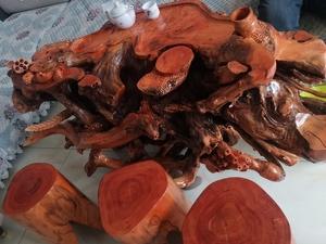 香椿木树根雕刻