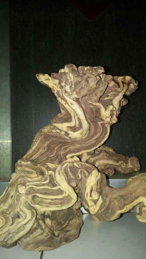 黑枸杞树根雕刻图片