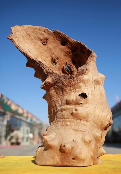 新疆杨树根雕的相关图片