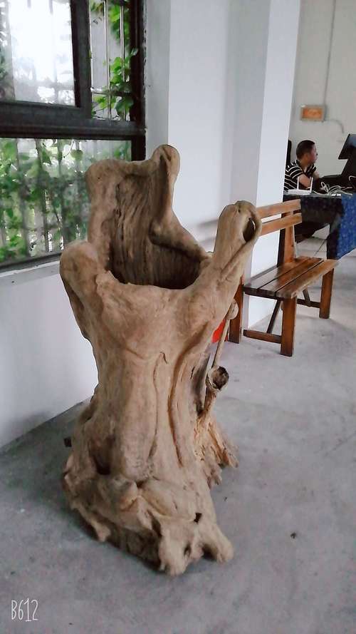 树根雕刻合肥的相关图片