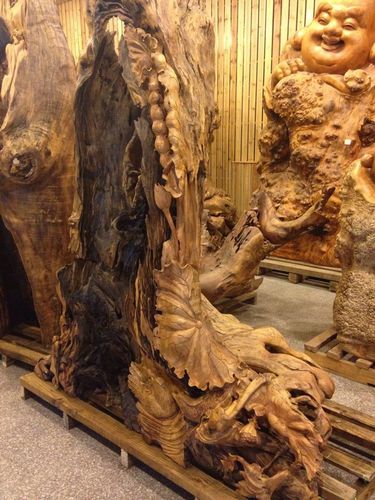 樟树根雕去皮处理的相关图片