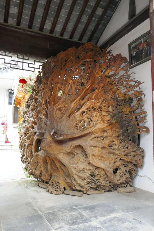 江西赣州巨大根雕树根的相关图片