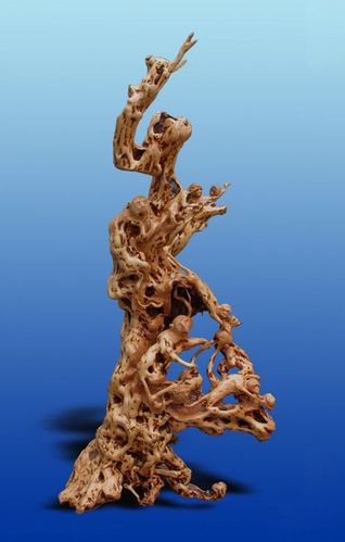 白蚁树根做根雕的相关图片