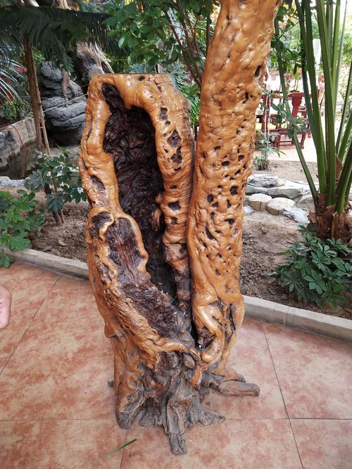 软枣树根做根雕的相关图片